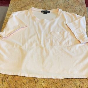 Sanctuary cropped t-shirt